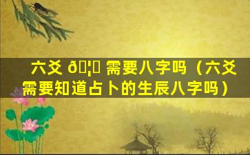 六爻 🦉 需要八字吗（六爻需要知道占卜的生辰八字吗）